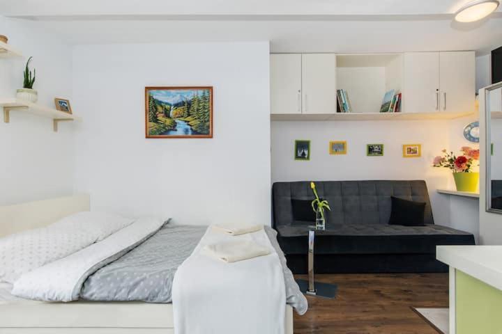 Cosy Studio Apartment Kraków Eksteriør billede